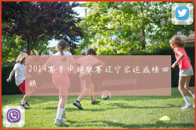 2014赛季中超联赛辽宁宏运成绩回顾